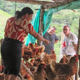 Persona dentro de un gallinero señala algo, mientras afuera una persona de la comunidad y otra del CICR observan.