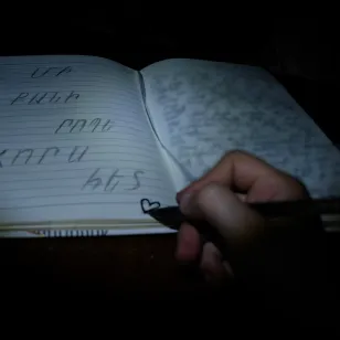 Diary of the daughter of a missing person