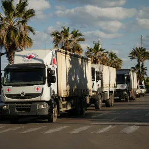A convoy of trucks bearing the Red Cross emblem drives along a palm-lined coastal road in Lebanon, delivering humanitarian supplies during escalating hostilities.
