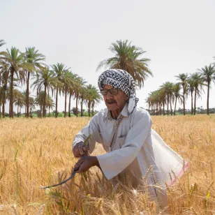 ICRC-IRCS photo contest: 1st place - Wisam Mohammed