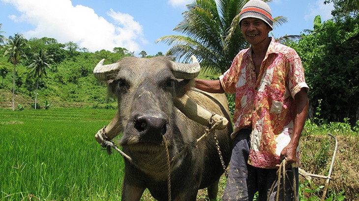 Philippines: Sustaining livelihoods of farmers in Negros