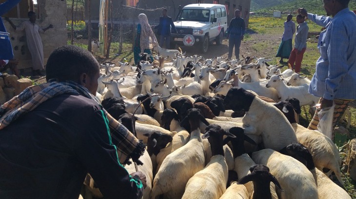 Restoring livelihoods of pastoralists in Ethiopia's Somali Region