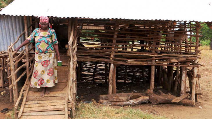 Kenya: Hope for women after Lamu attack