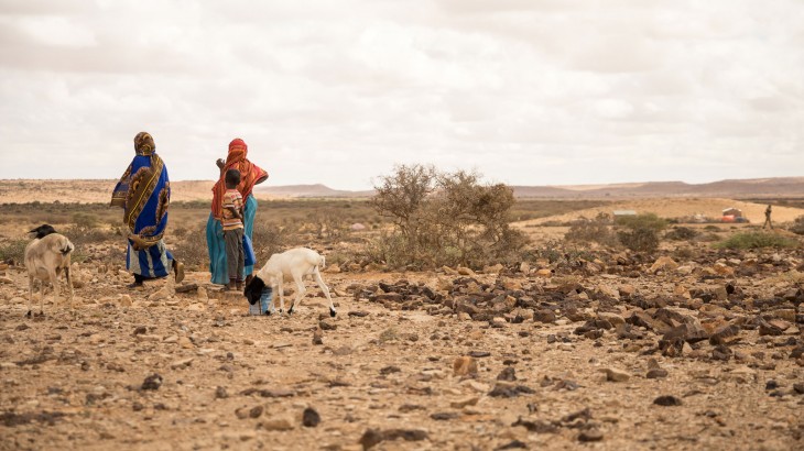 索马里：2019年事实与数据