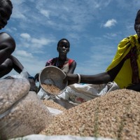 南苏丹：数十万人面临严重的食品短缺