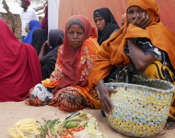 冲突连年、气候恶劣，索马里民众苦不堪言