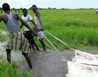 南苏丹：向沼泽地空投食物