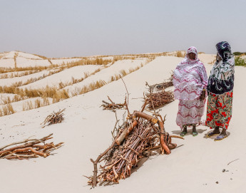 Sahel : changement climatique et conflits poussent les communautés au désespoir