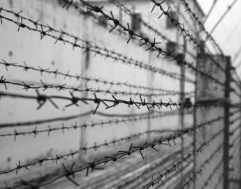 منشأة سجن أولينيفكا: أسرى الحرب ودور اللجنة الدولية