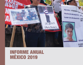Informe Anual México 2019