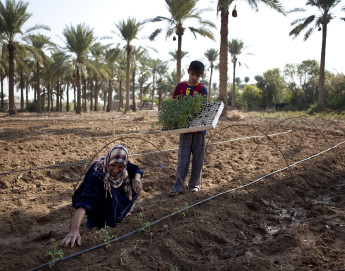 Facing the impact of climate change and armed conflict in the Near and Middle East
