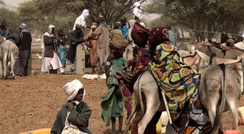 Niger : des milliers d’éleveurs assistés à Diffa