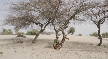 Мали: когда изменения климата и конфликт накладываются друг на друга