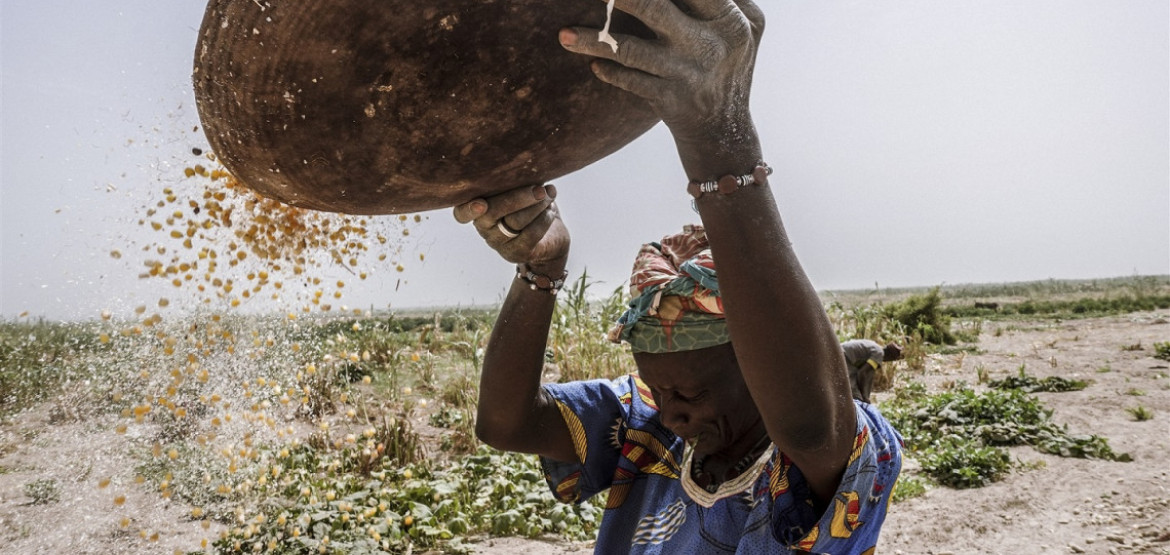 Обостряющаяся нехватка продовольствия: миллионам людей в зонах конфликтов грозит жесточайший кризис