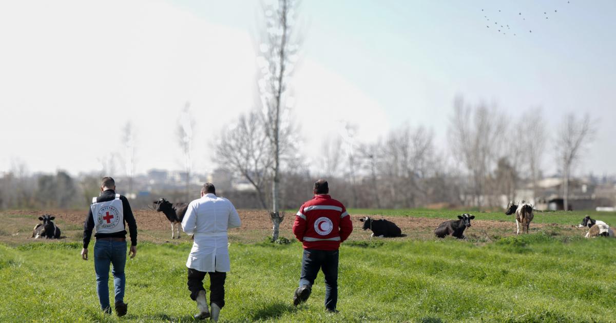 ICRC Activities in Syria: Facts & Figures (January - June 2024)