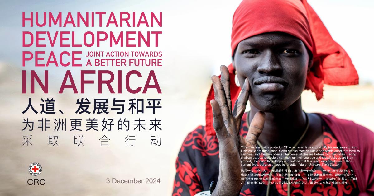 China: Experts discuss paths to bring peace and stability in Africa
