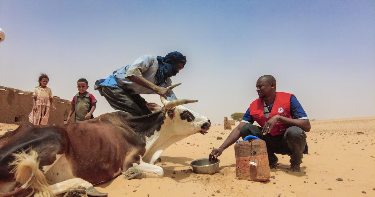 Special Appeal 2025 - Climate change and conflict: Protecting the most vulnerable