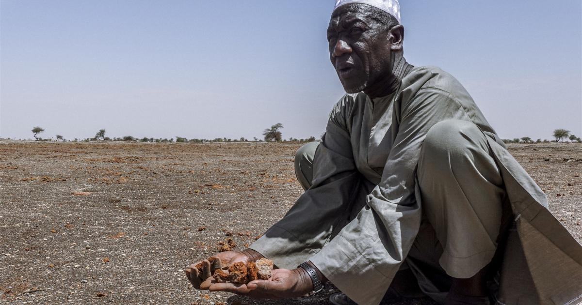 COP30: The ICRC's call to strengthen climate action and finance in conflict settings