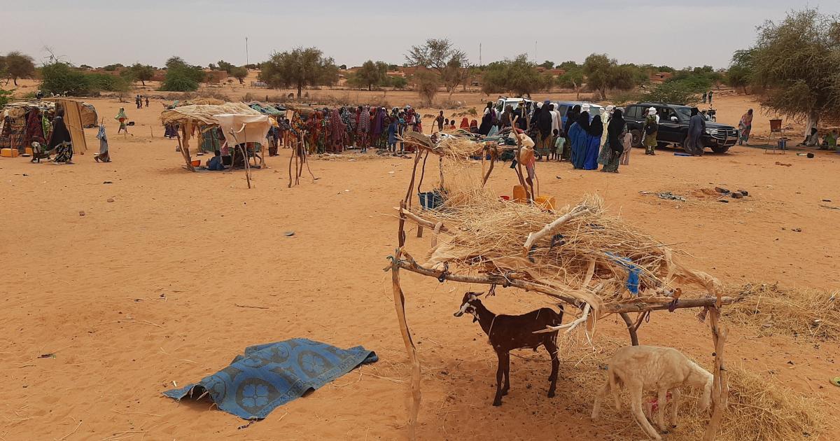 Mali: Anderamboukane, a once-thriving town desolated by armed violence