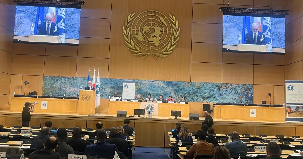 ICRC Vice-president calls on States to defend and to promote the norms enshrined in the Anti-Personnel Mine Ban Convention