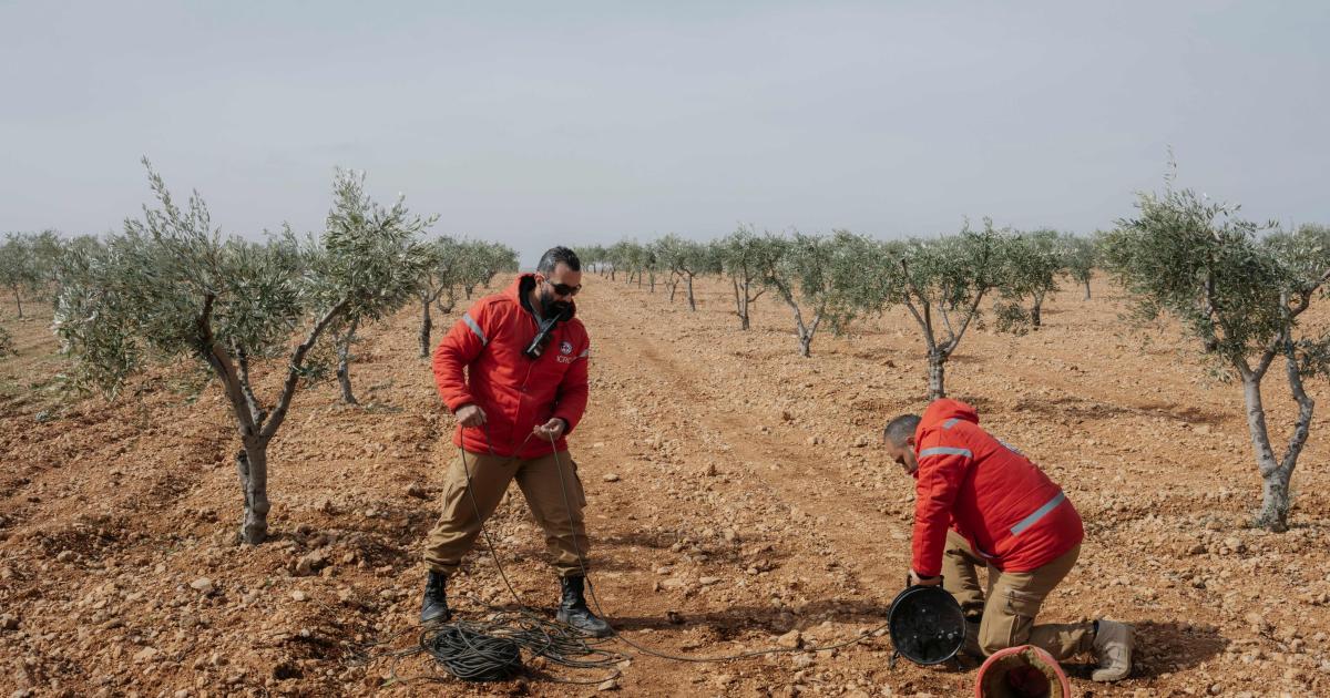 Measured in decades: The enduring human cost of anti-personnel mines and other explosive ordnance