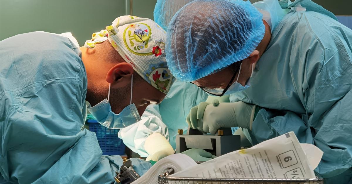 ICRC, World Health Organization, Médecins Sans Frontières: Health care must never be a casualty of war