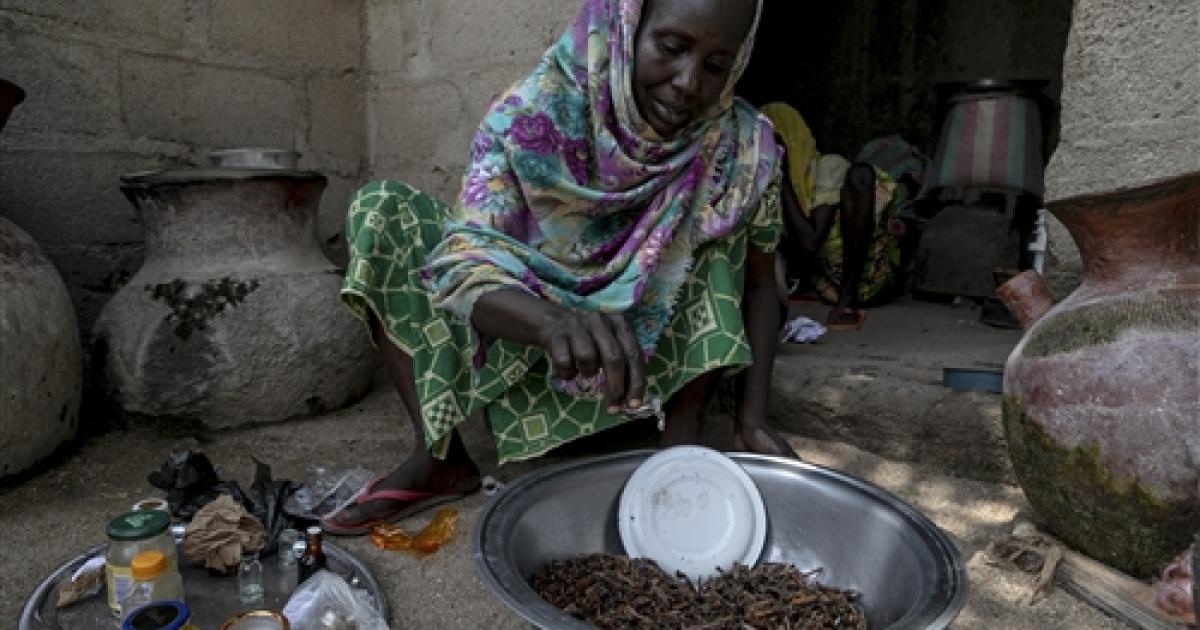 Evaluation of the ICRC’s EcoSec Programme in Cameroon (2019-2024)