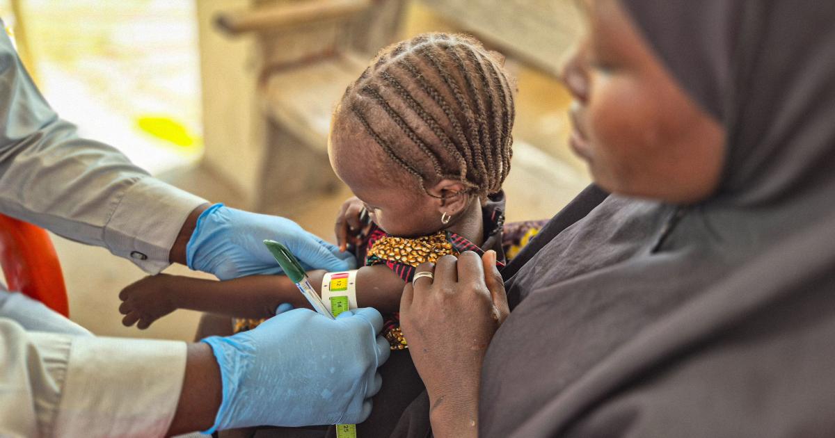 Nigeria: A day in the life of a nutritionist on the frontline against hunger