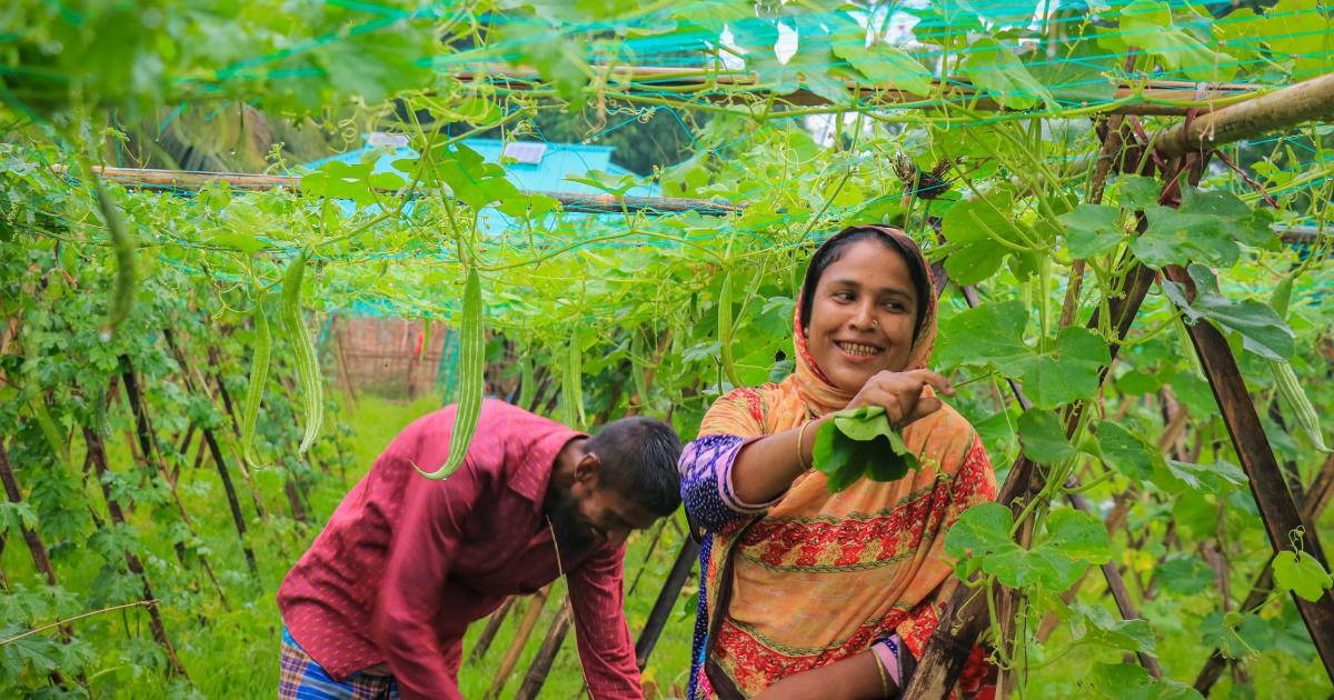 Bangladesh: Challenges, achievements and our impact in 2023 - Vimarsana News