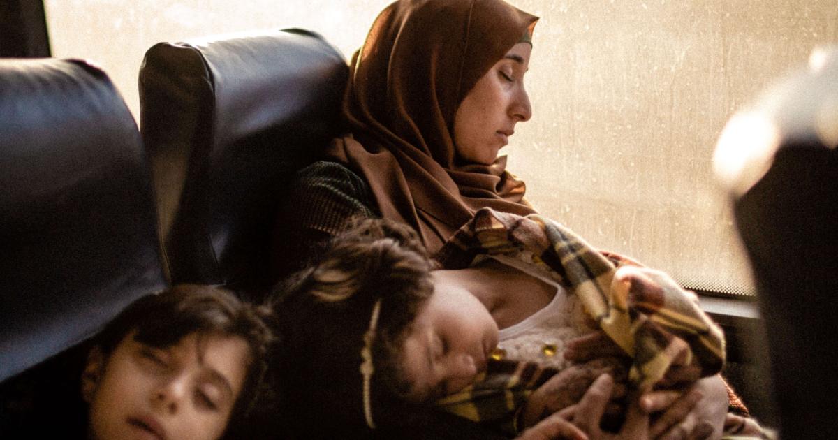 Road Trip De 12 Jours à La Réunion