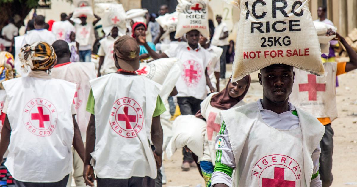 Nigeria Massive longterm effort needed to tackle humanitarian crisis