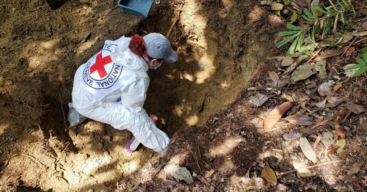 Colombie : bourses d’études pour soutenir l’enquête médico-légale et la recherche de personnes disparues