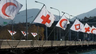 Flags fly at the Mont-Blanc bridge in Geneva, marking the 30th International Conference of the Red Cross and Red Crescent.