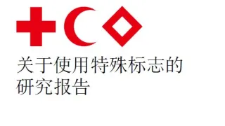 关于使用特殊标志的研究报告