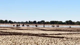 Paysage d'une terre asséchée.