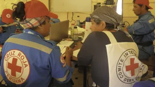 ICRC and Red Cross delegates sitting with their backs to the camera wearing the emblem on their clothing