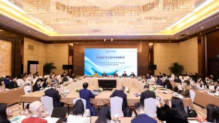 “多重视角下的人道行动与发展合作”专题会议