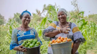 Nan (en Bleu, beige) et Risnata, deux braves dames de Ouahigouya qui accueillent des femmes déplacées au sein de leur coopérative, avec le soutien du CICR, elles ont diversifié leur production et fait un très bon rendement