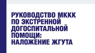 Обложка публикации