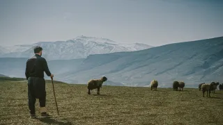 Omar stands on a hillside watching over his sheep in a vast, mountainous landscape with snow-capped peaks in the distance, in Iraq.