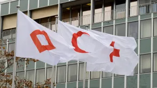 The Red Cross, Red Crescent and Red Crystal flags