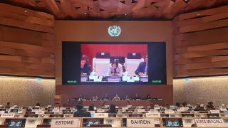 Mirjana Spoljaric at the 2025 ECOSOC humanitarian affairs segment at the Palais des Nations in Geneva on 19 June 2025