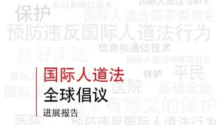 国际人道法全球倡议进展报告
