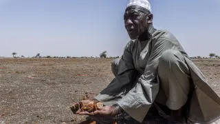  Timbuktu region, Mbouna. A resident poses in the middle of lake Faguibine, which is now dried up because of climate change.