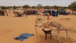 L'une des dernière image faite à Ander avant la suspension des actions dans cette zone