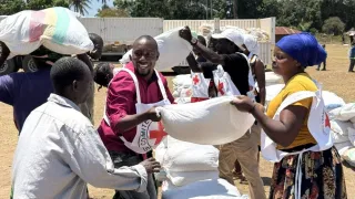 In a community in the district of Muidumbe, northern Mozambique, Cabo Delgado province, the ICRC assisted thousands of people with seeds and farming tools.