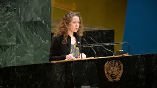 UNGA WSIS20