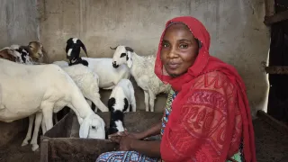 Hauwa-Kachallah