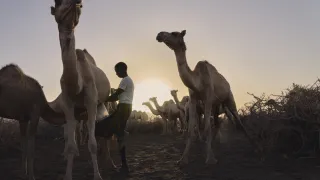 Somalia Drought 
