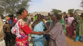 Image d'illustration. Une collaboratrice du CICR en plein échange avec des bénéficiaires